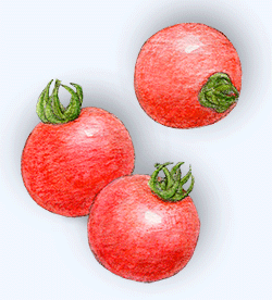 1577820-01.png 1577820-01.png