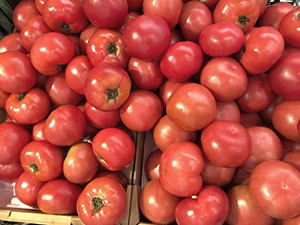 Basket%20of%20tomatoes.png