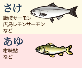 Salmon%26amp%3BAyukawa-01.png