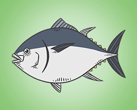 Tuna-02.png