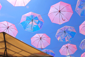 Umbrella-Flower-02.png Umbrella-Flower-02.png