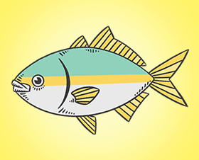 Yellowtail-02.png