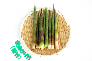 bamboo-shoots-2-01.png