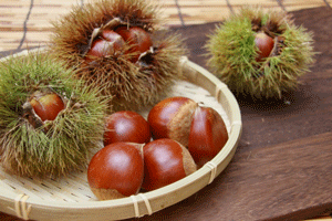 chestnut%20and%20burr.png