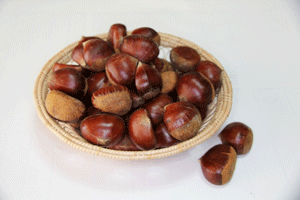 chestnut.png