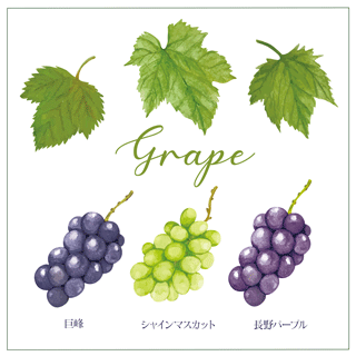 grapes-01.png