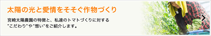 太陽の光と愛情をそそぐ作物づくり